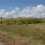 South Dade Wetlands