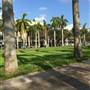 Stephen P. Clark Building/Government Center
