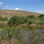 South Dade Wetlands