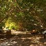 Bill Baggs State Park