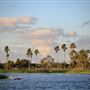 Tropical Park