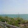 Bill Baggs State Park