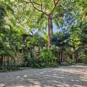 Coconut Grove - SP
