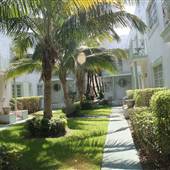 Flamingo Area - 12 St