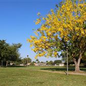 Royale Green Park