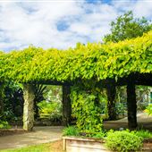 Fruit & Spice Park