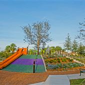 Debbie Curtain Park