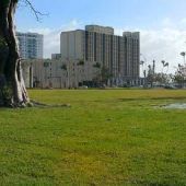 Collins Park