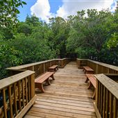 Deering Estate Boardwalk