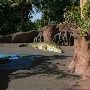 Miami-Dade Zoological Park and Gardens