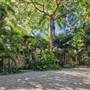 Coconut Grove - SP