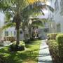 Flamingo Area - 12 St