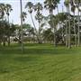 Gwen Cherry Park