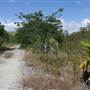 South Dade Wetlands