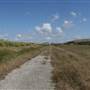 South Dade Wetlands
