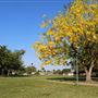 Royale Green Park