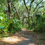 Kendall Indian Hammocks - Nature trail
