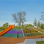 Debbie Curtain Park