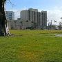 Collins Park