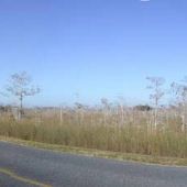 Everglades Roads