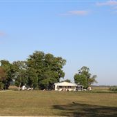 VILLACARRIEDO GROVES LC