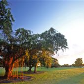 Greynolds Golf Course