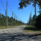 Navy Wells Pineland Preserve