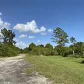 Miami-Dade Zoological Park and Gardens - Back Lot