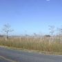 Everglades Roads