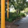 Miami-Dade Zoological Park and Gardens