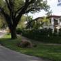Coral Gables neighborhood