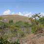 South Dade Wetlands
