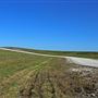 Northwest 58th Street Wetland