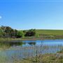 Northwest 58th Street Wetland