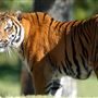 Miami-Dade Zoological Park and Gardens