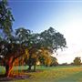 Greynolds Golf Course
