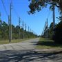 Navy Wells Pineland Preserve