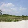 Bill Baggs State Park