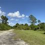 Miami-Dade Zoological Park and Gardens - Back Lot