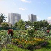 Overtown District Sidewalks