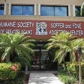 Humane Society of Greater Miami