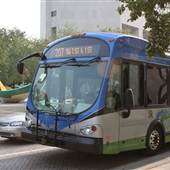 Buses