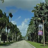 Miami-Dade Zoological Park and Gardens