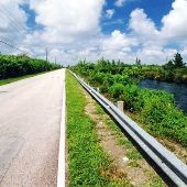 Palm Drive