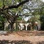Villa Woodbine