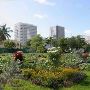 Overtown District Sidewalks