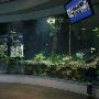 Miami-Dade Zoological Park and Gardens