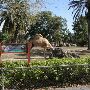 Miami-Dade Zoological Park and Gardens