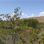 South Dade Wetlands
