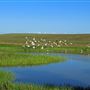 Northwest 58th Street Wetland